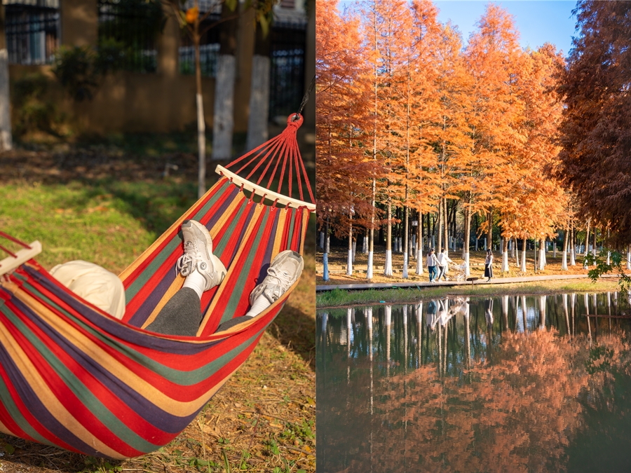 1765528598180578.jpg DSC01144_副本.jpg