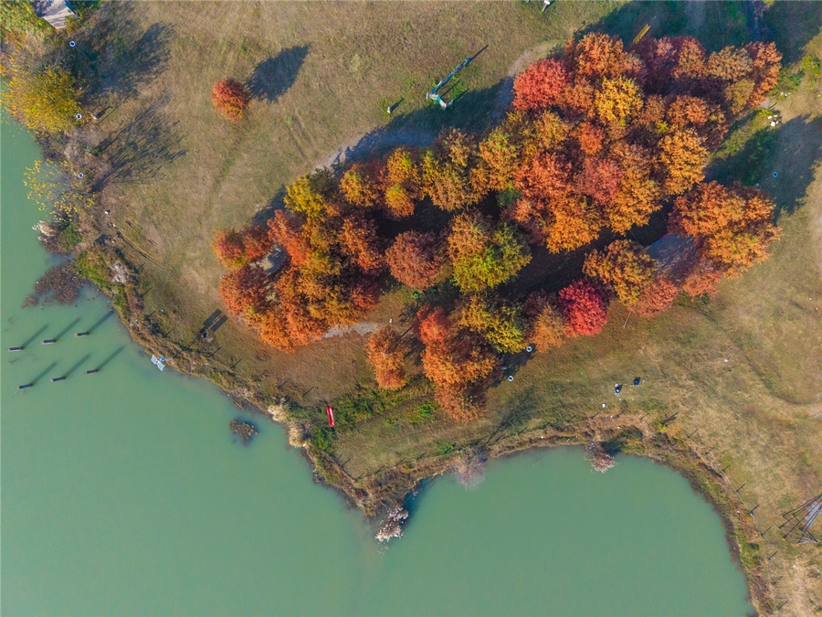 1765528676494181.jpg DJI_20251203143752_0662_D_副本.jpg