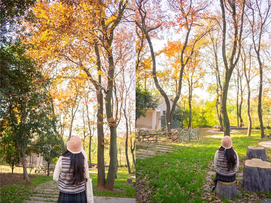 1765528834955763.jpg DSC00979_副本.jpg