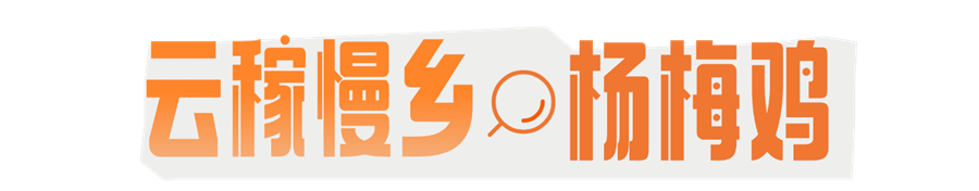 1765854052346021.png 村咖 (3).png