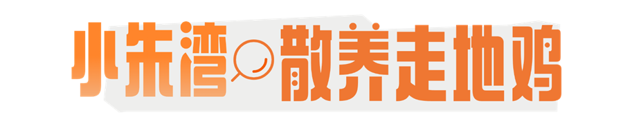 1765854513581964.png 村咖.png