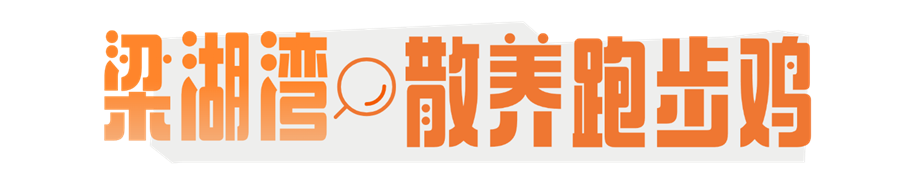 1765854617437919.png 村咖 (2).png