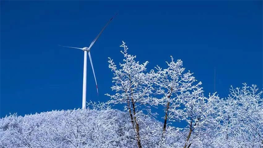 1765872292904442.jpg 微信图片_2025-12-16_154510_539.jpg