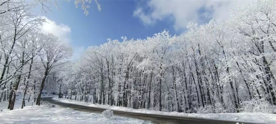 1765872297915794.jpg 微信图片_2025-12-16_154513_315.jpg