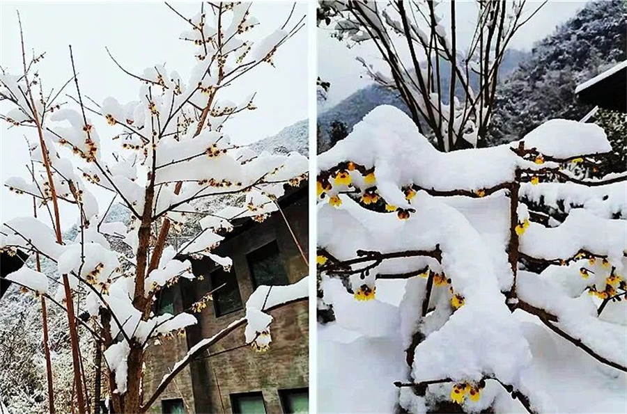 1765872480182206.jpg 微信图片_2025-12-16_154607_596.jpg