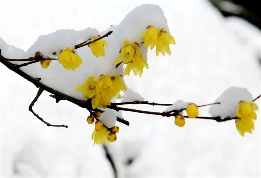 1765872496269202.jpg 微信图片_2025-12-16_154605_916.jpg