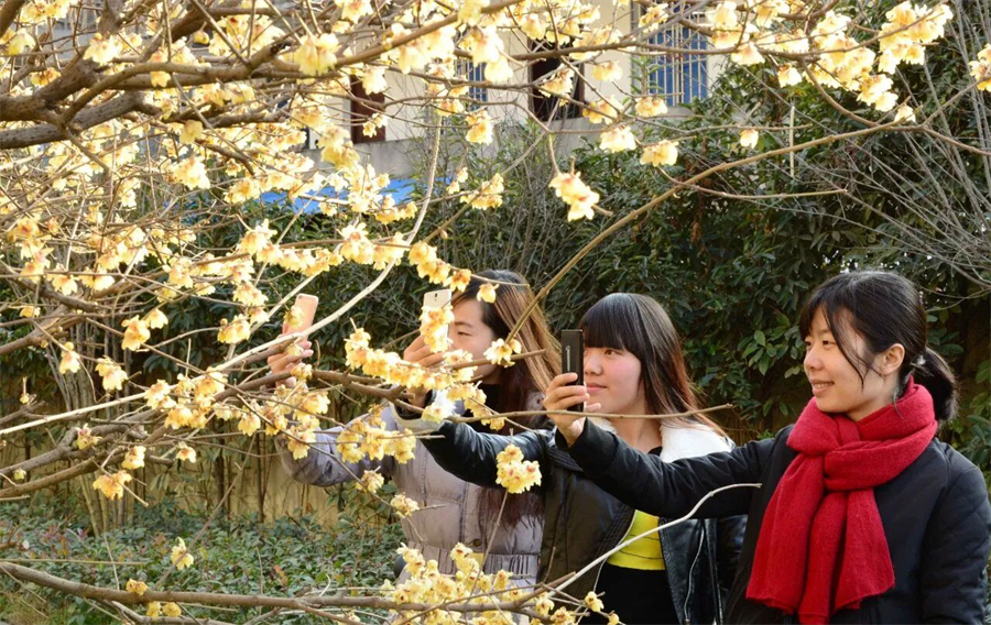 1765872515543205.jpg 微信图片_2025-12-16_154615_627.jpg