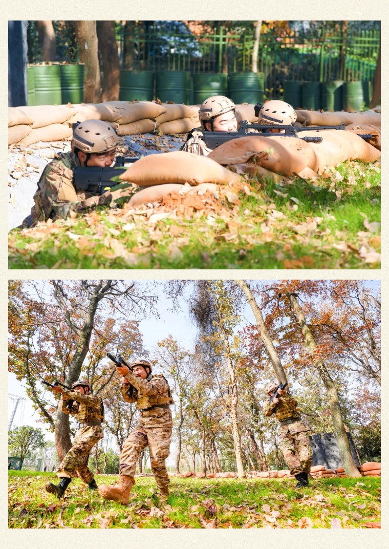 1767101560500905.jpg 070bd29615f44c62534258115f219f5c-sz_343408.jpg