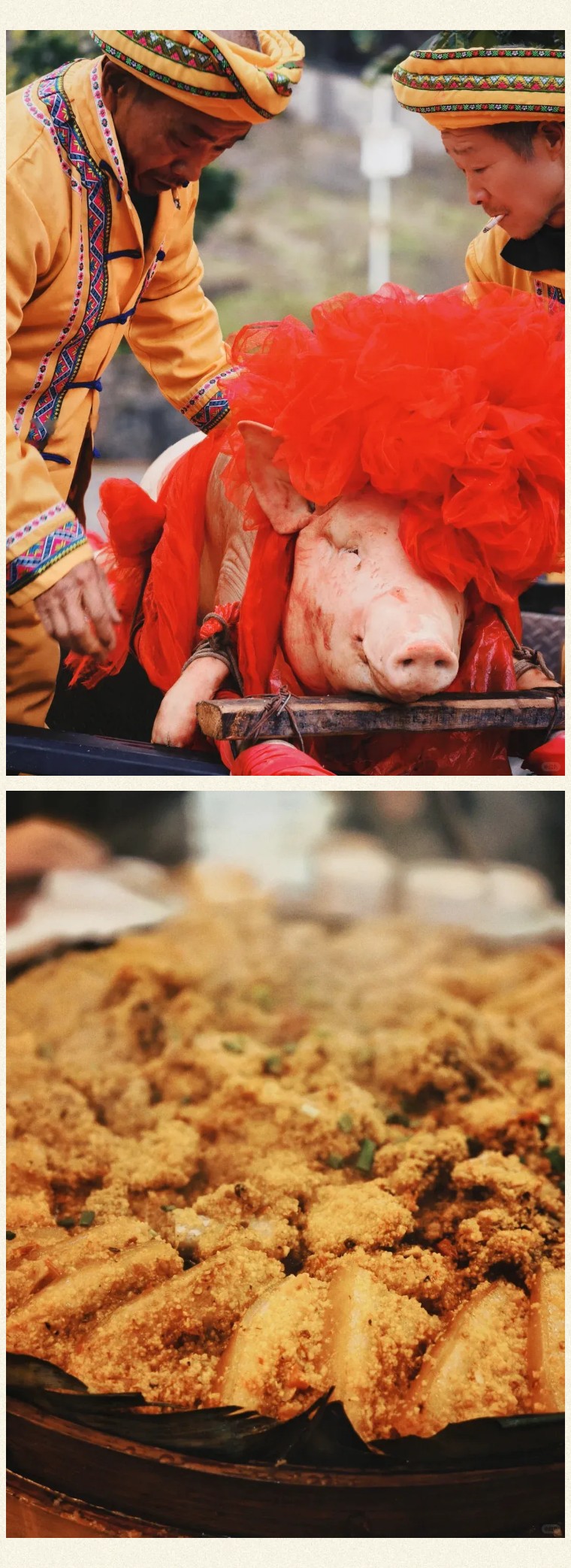 1767101732835563.jpg 070bd29615f44c62534258115f219f5c-sz_355694.jpg