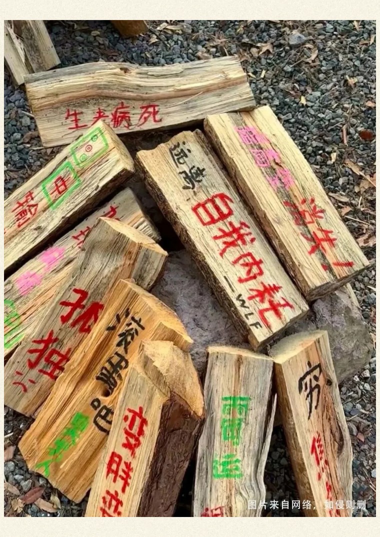 1767101941855276.jpg 070bd29615f44c62534258115f219f5c-sz_285648.jpg