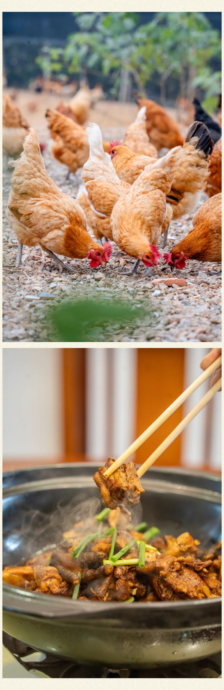 1767102164875386.jpg 070bd29615f44c62534258115f219f5c-sz_356361.jpg