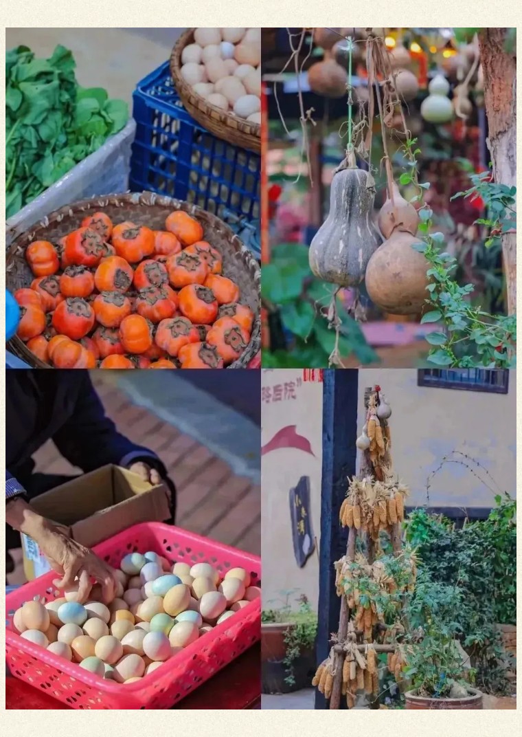 1767102175826840.jpg 070bd29615f44c62534258115f219f5c-sz_207921.jpg