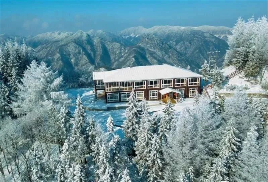 1767166959145060.jpg 微信图片_2025-12-31_152600_242.jpg