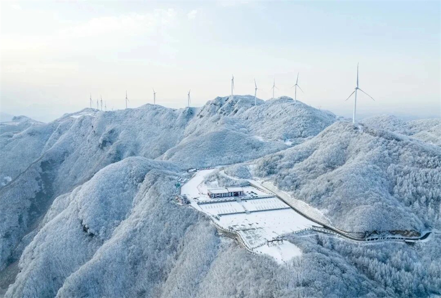 1767167045510115.jpg 微信图片_2025-12-31_152601_977.jpg