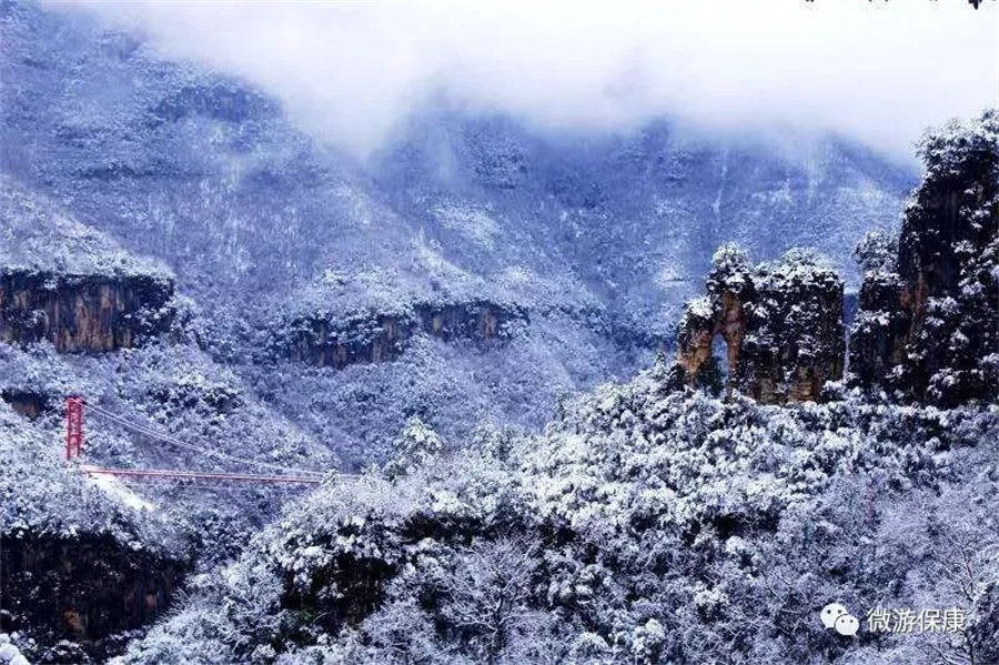 1767167104763816.jpg 微信图片_2025-12-31_152610_841.jpg