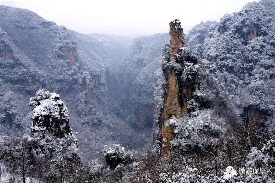 1767167110588470.jpg 微信图片_2025-12-31_152612_545.jpg