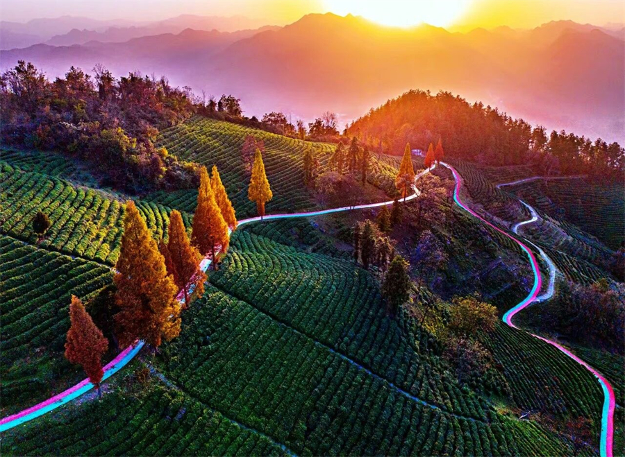 1767167121384231.jpg 微信图片_2025-12-31_152614_585.jpg