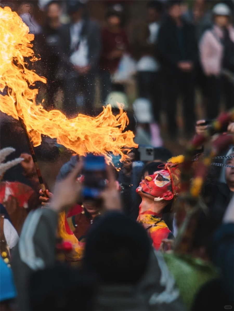 1769137178112585.jpg 微信图片_2026-01-23_103847_877.jpg