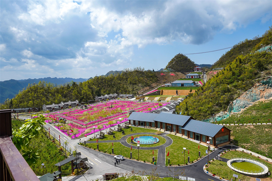 1770707554991659.jpg 2 (4).jpg