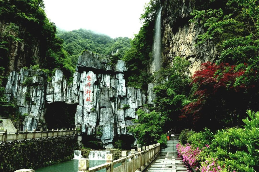 1770707584656932.jpg 2 (1).jpg