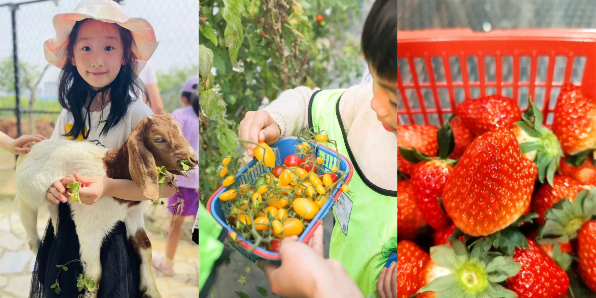 1772786981589777.jpg 拼图_美图设计室.jpg