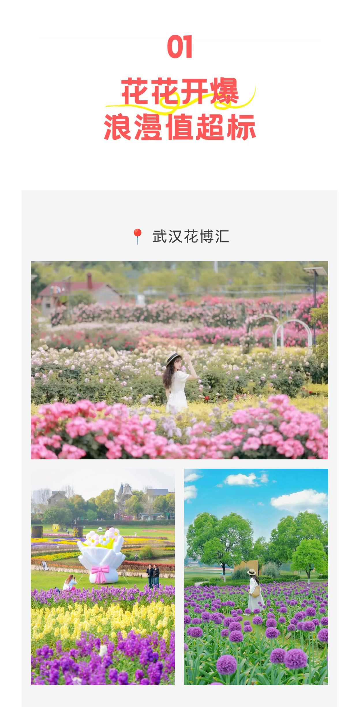 未标题-2_04.jpg