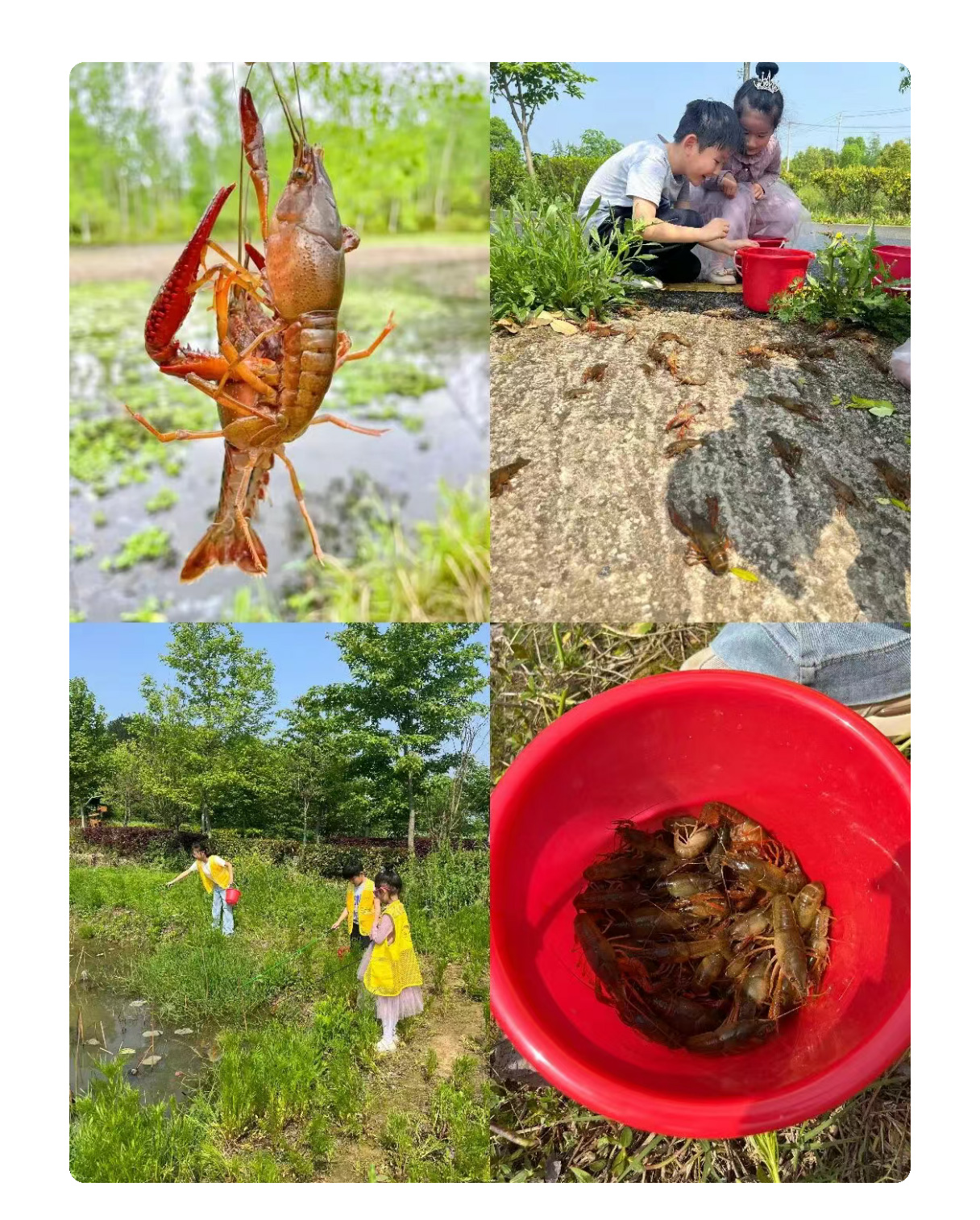 未标题-2_01.jpg