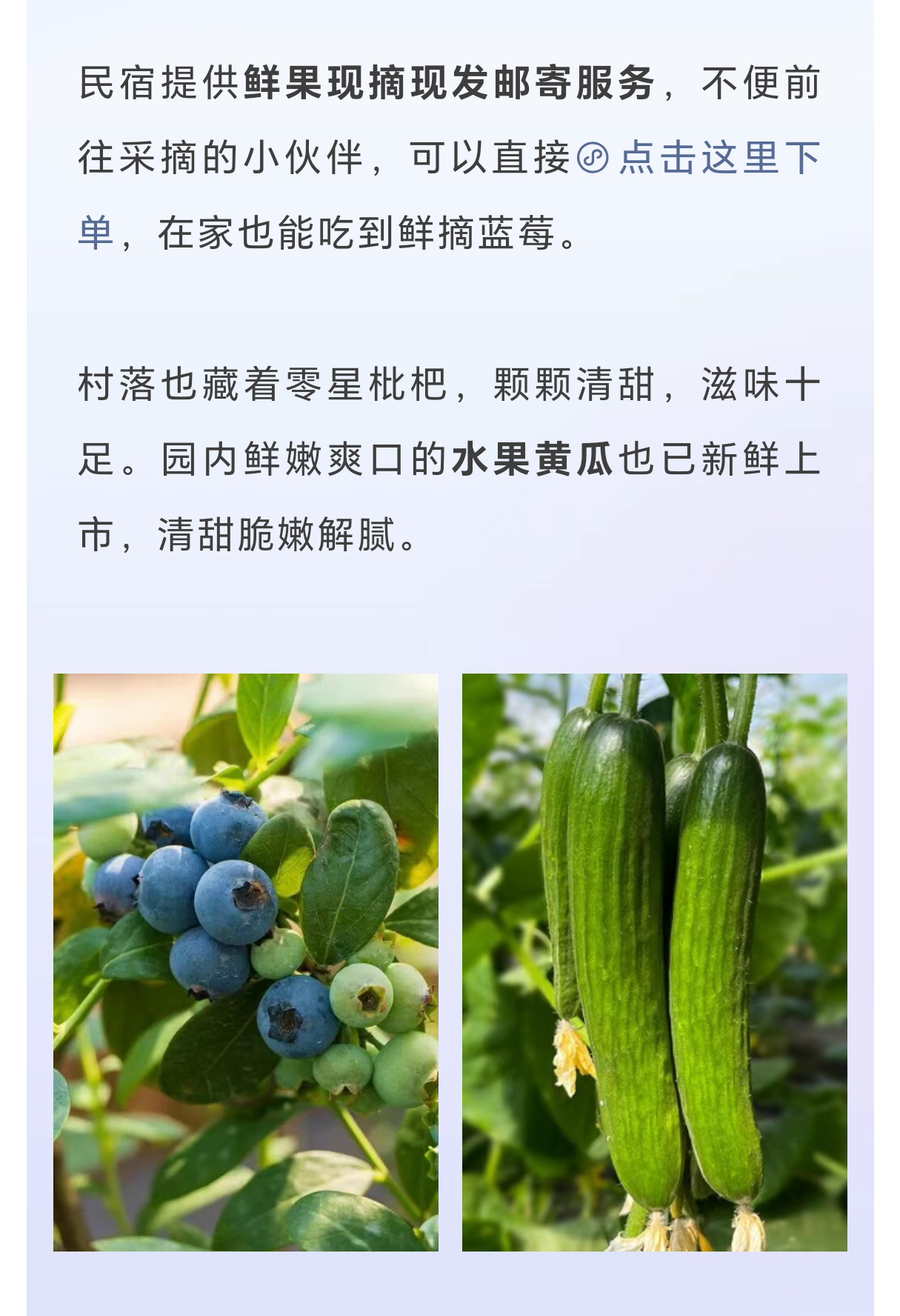 未标题-2_04.jpg