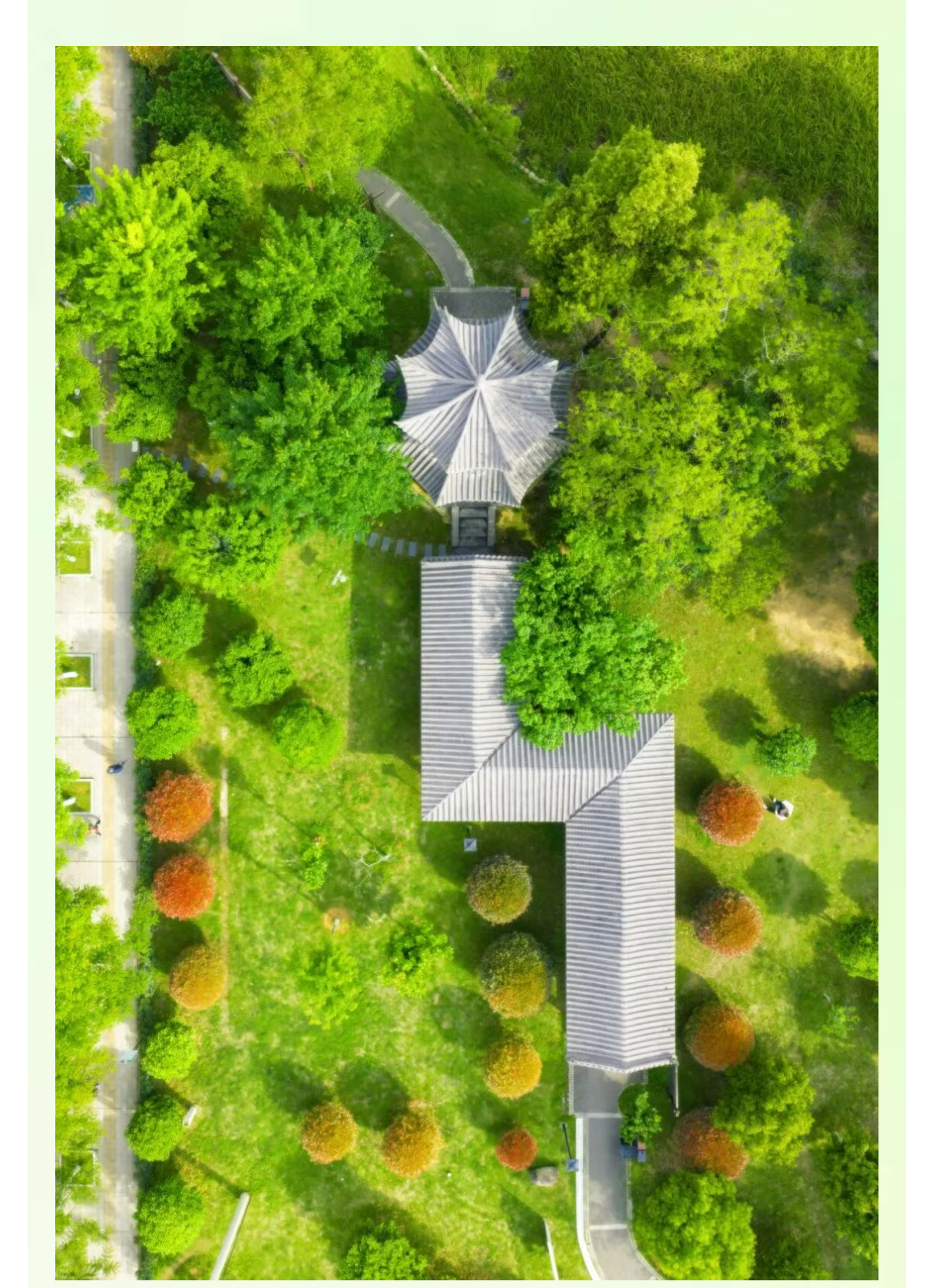 未标题-3_07.jpg