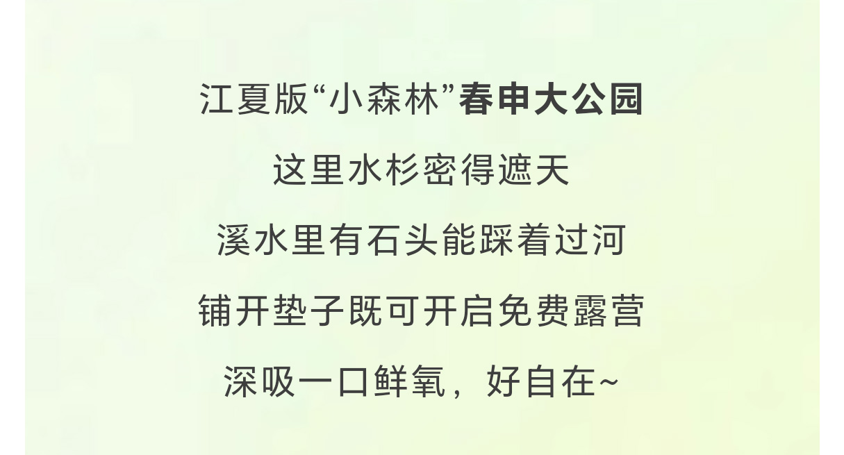 未标题-3_11.jpg