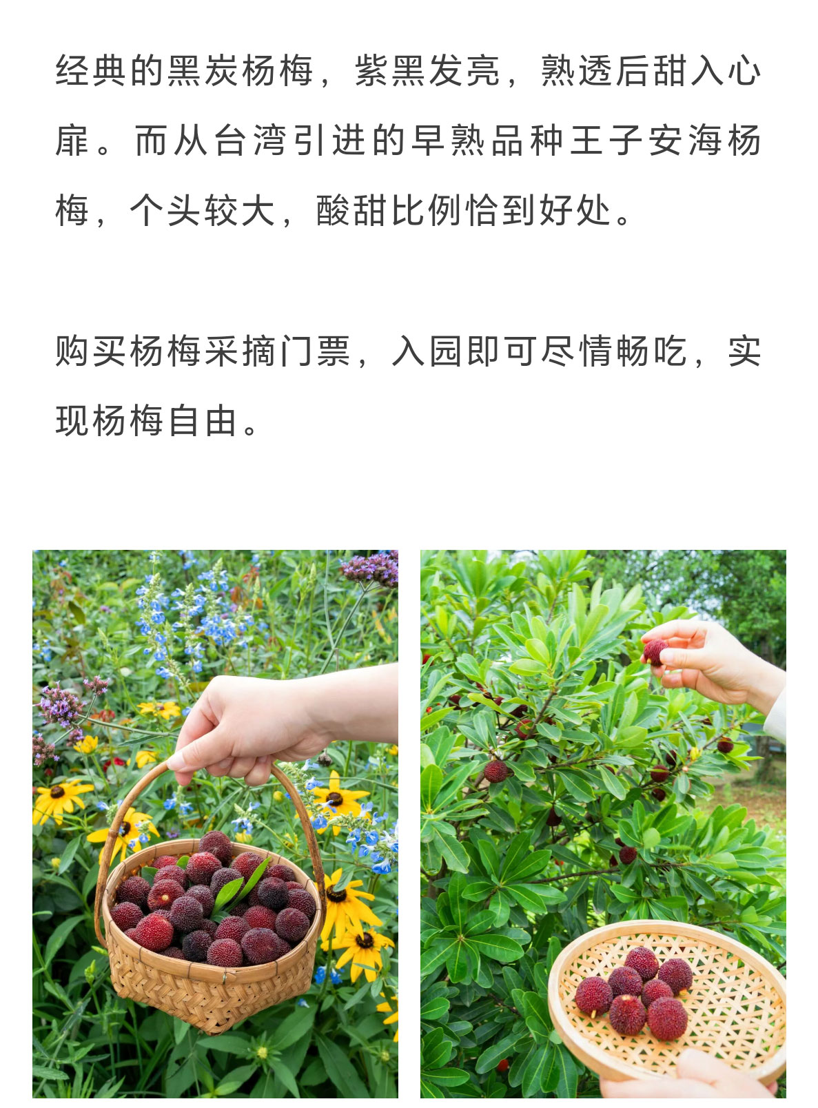 未标题-2_06.jpg
