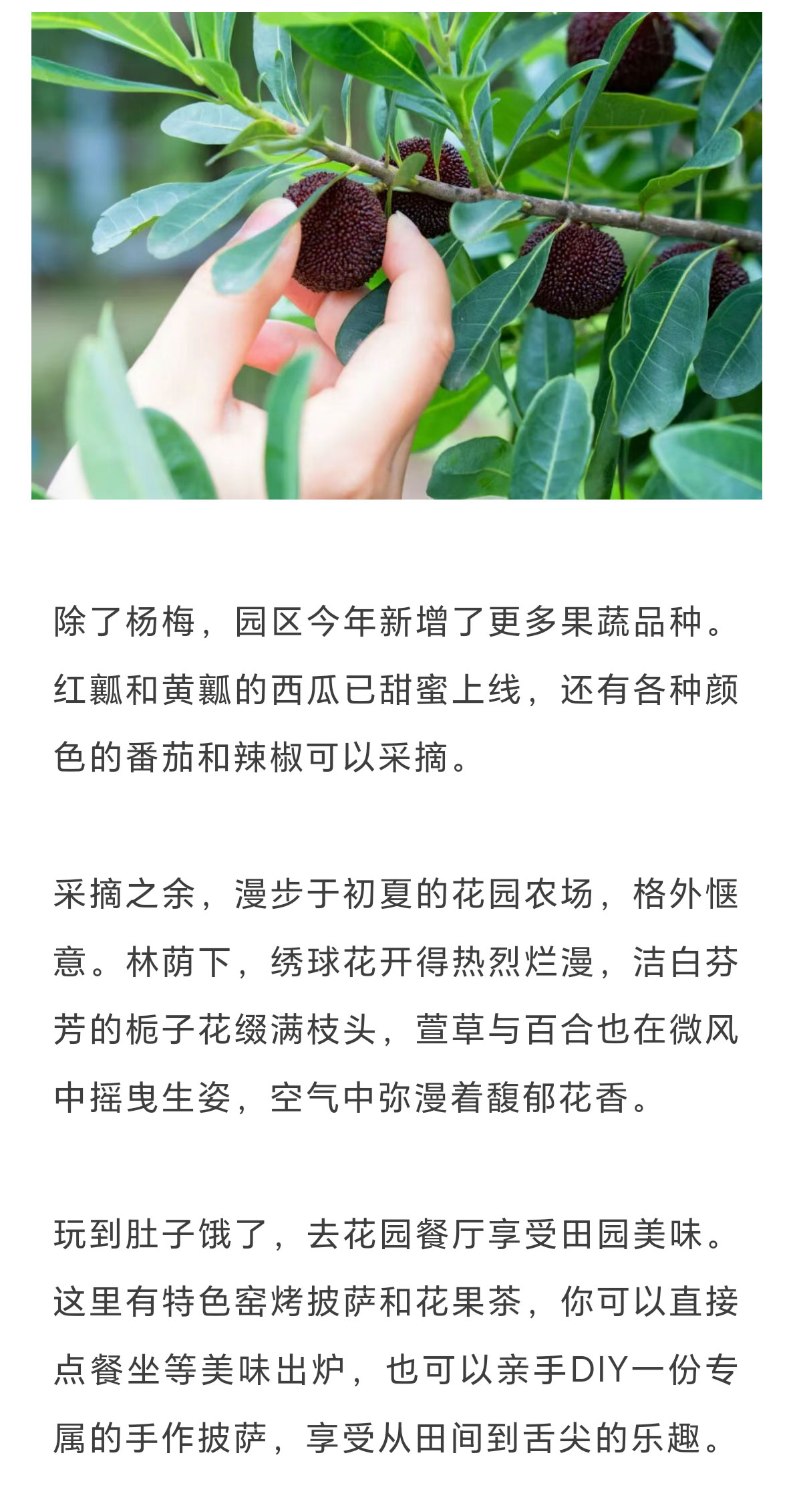 未标题-2_07.jpg