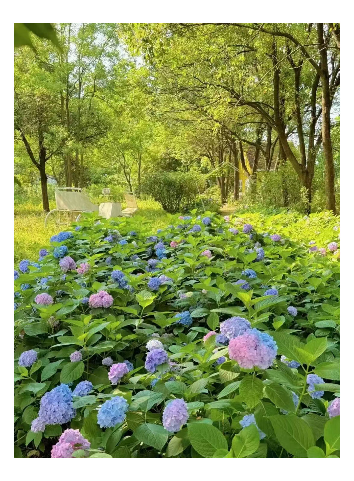 未标题-2_08.jpg