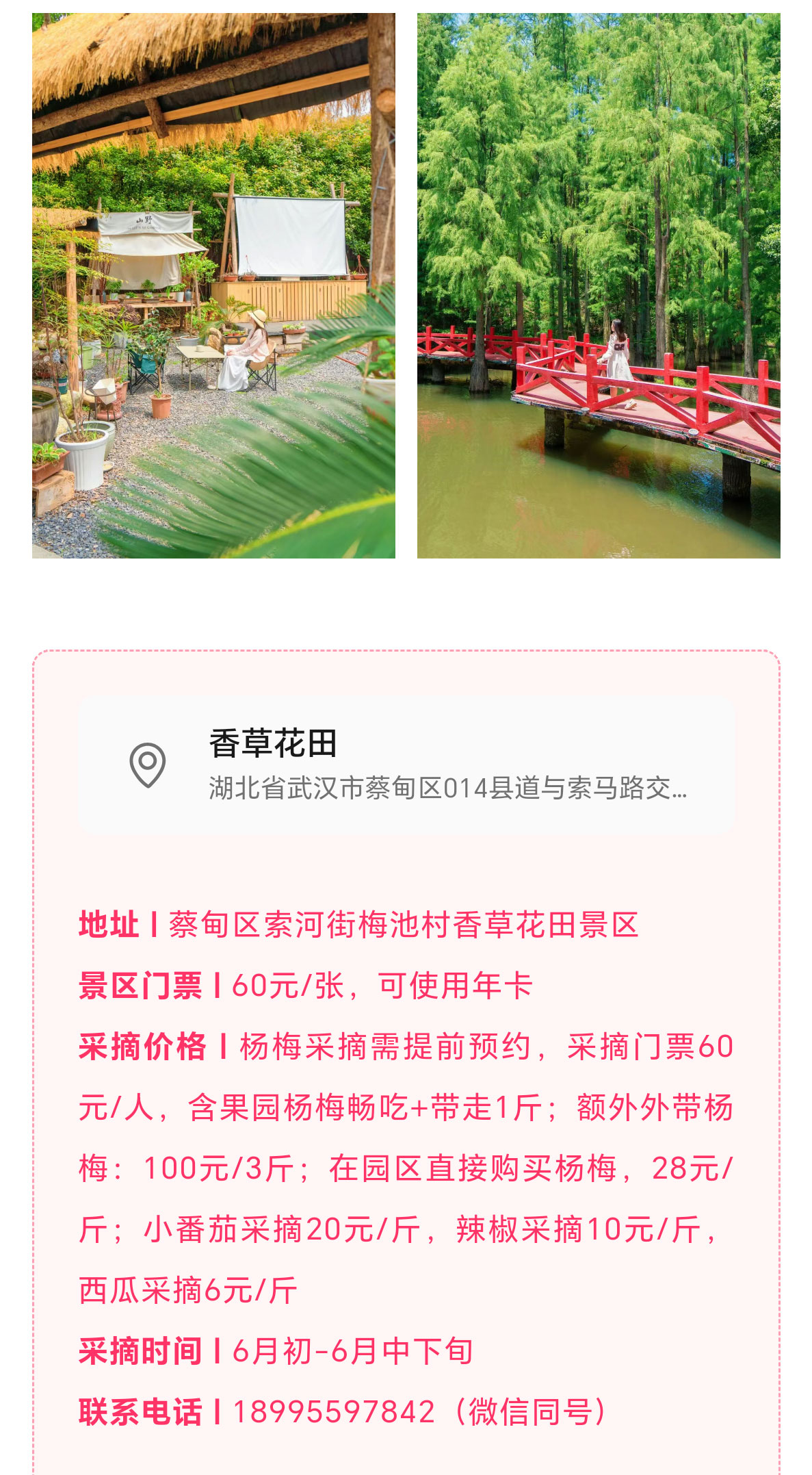 未标题-2_11.jpg