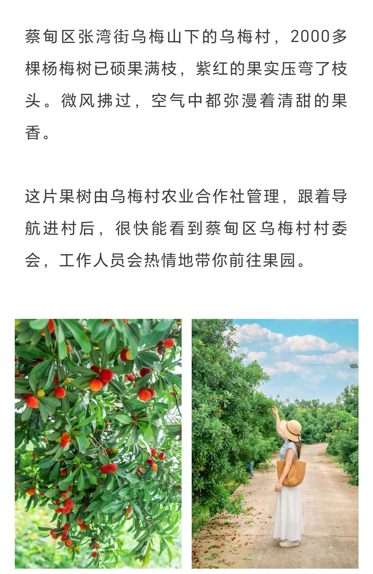 未标题-2_14.jpg