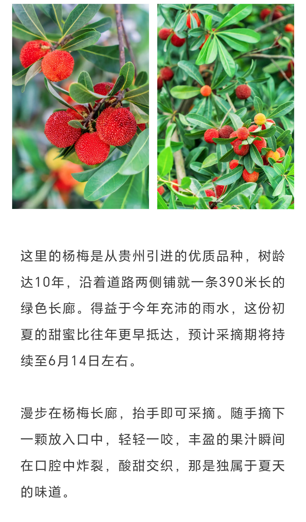 未标题-2_15.jpg