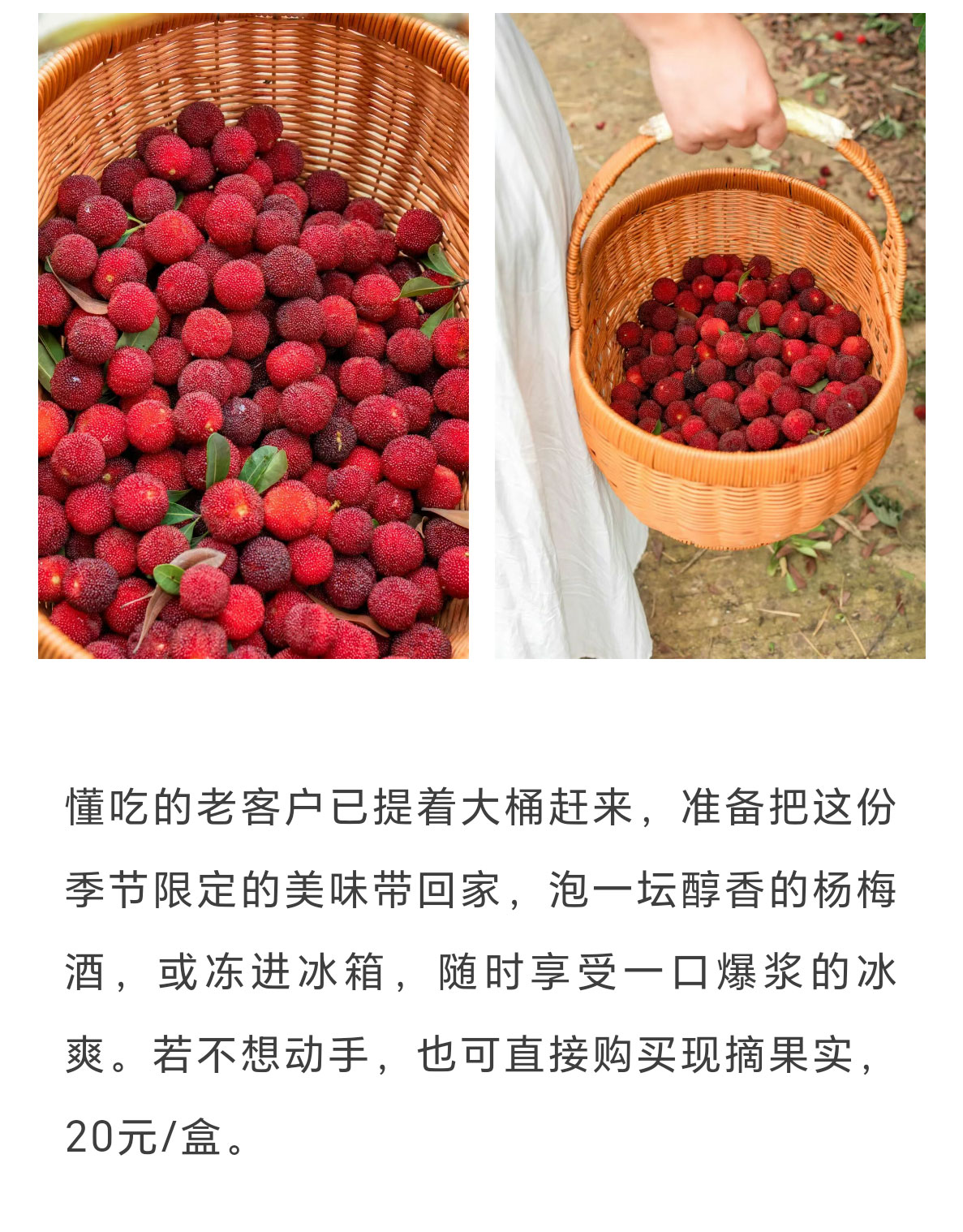 未标题-2_02.jpg