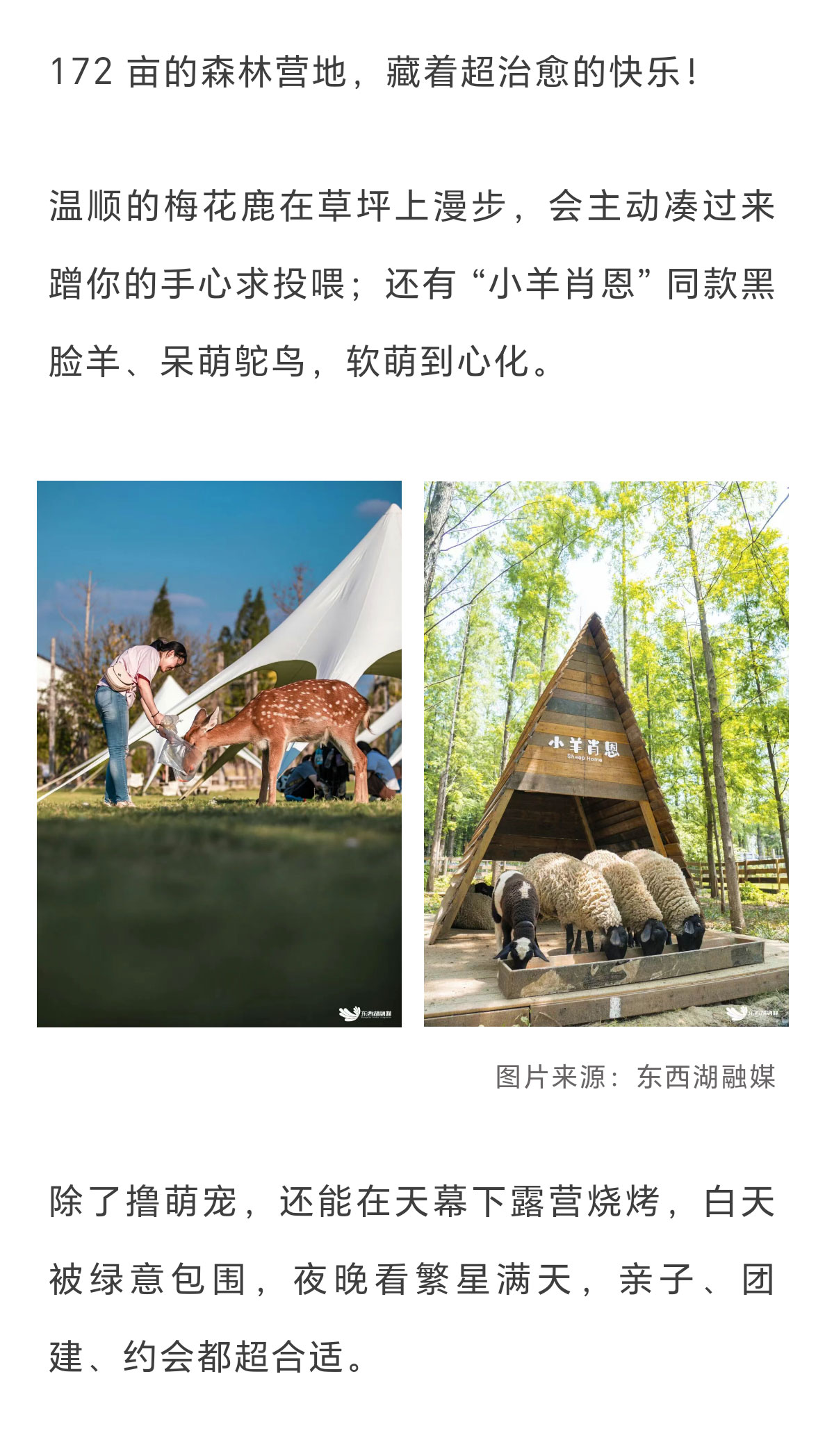 未标题-2_10.jpg
