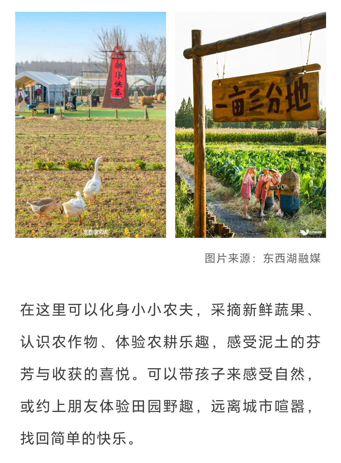 未标题-2_13.jpg