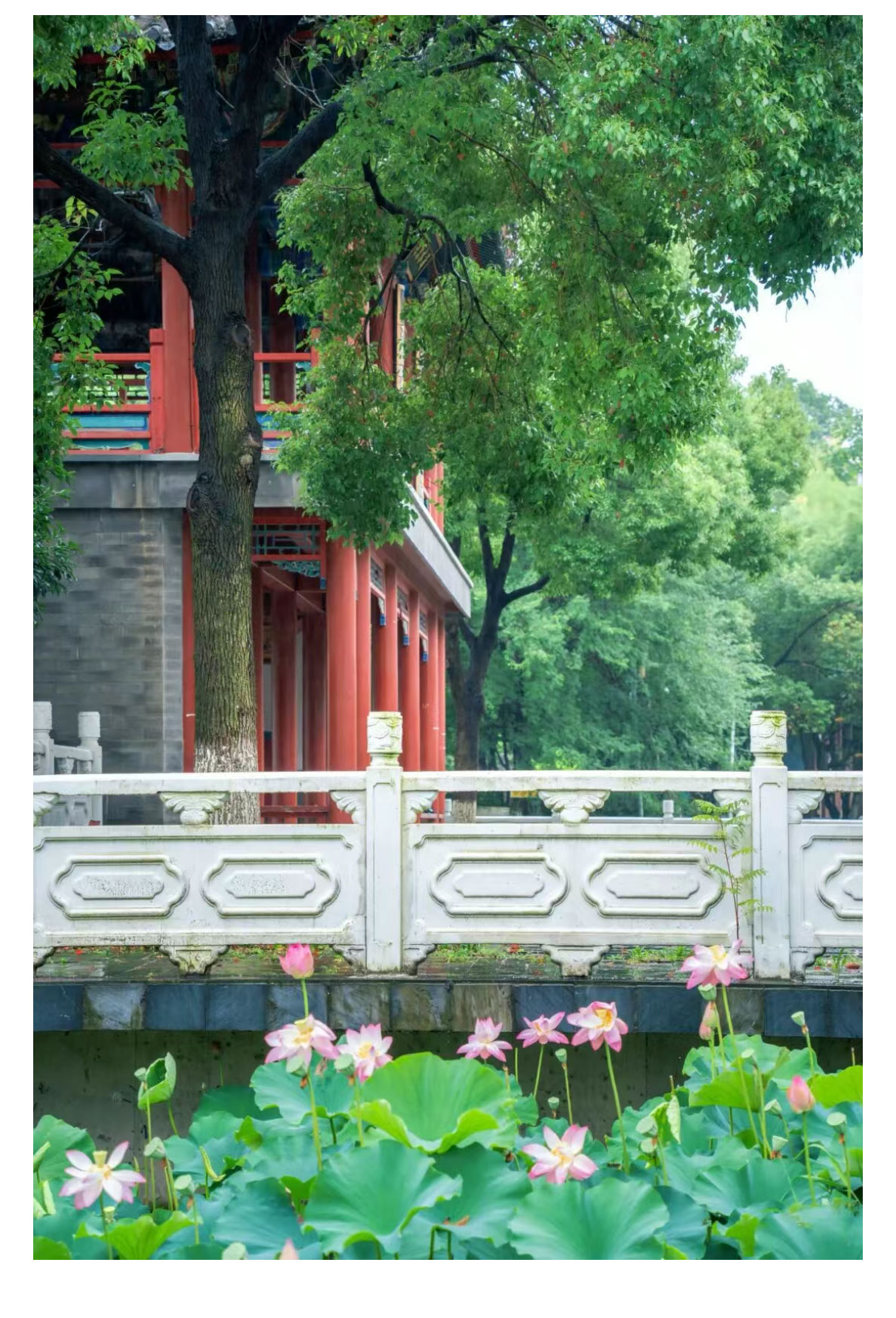 未标题-2_02.jpg