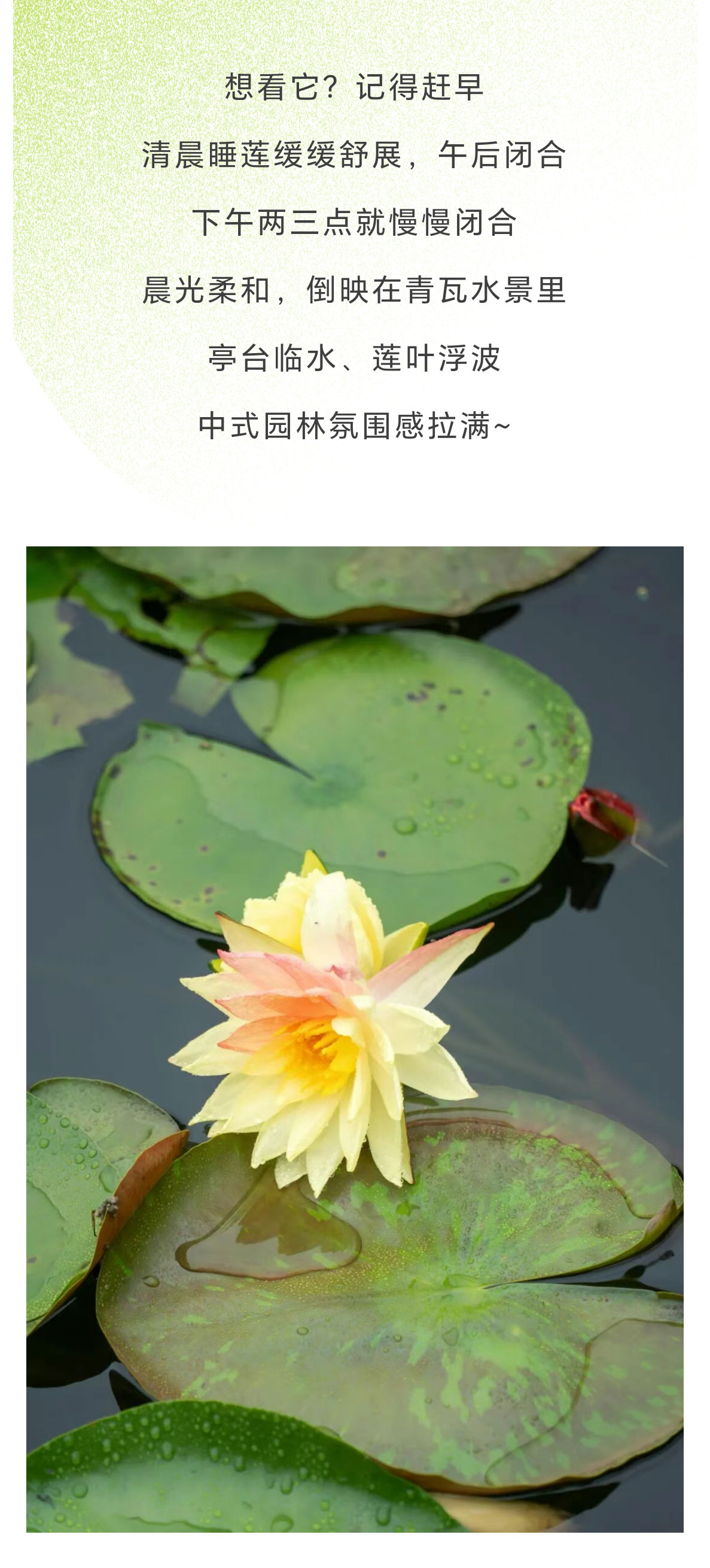 未标题-2_04.jpg