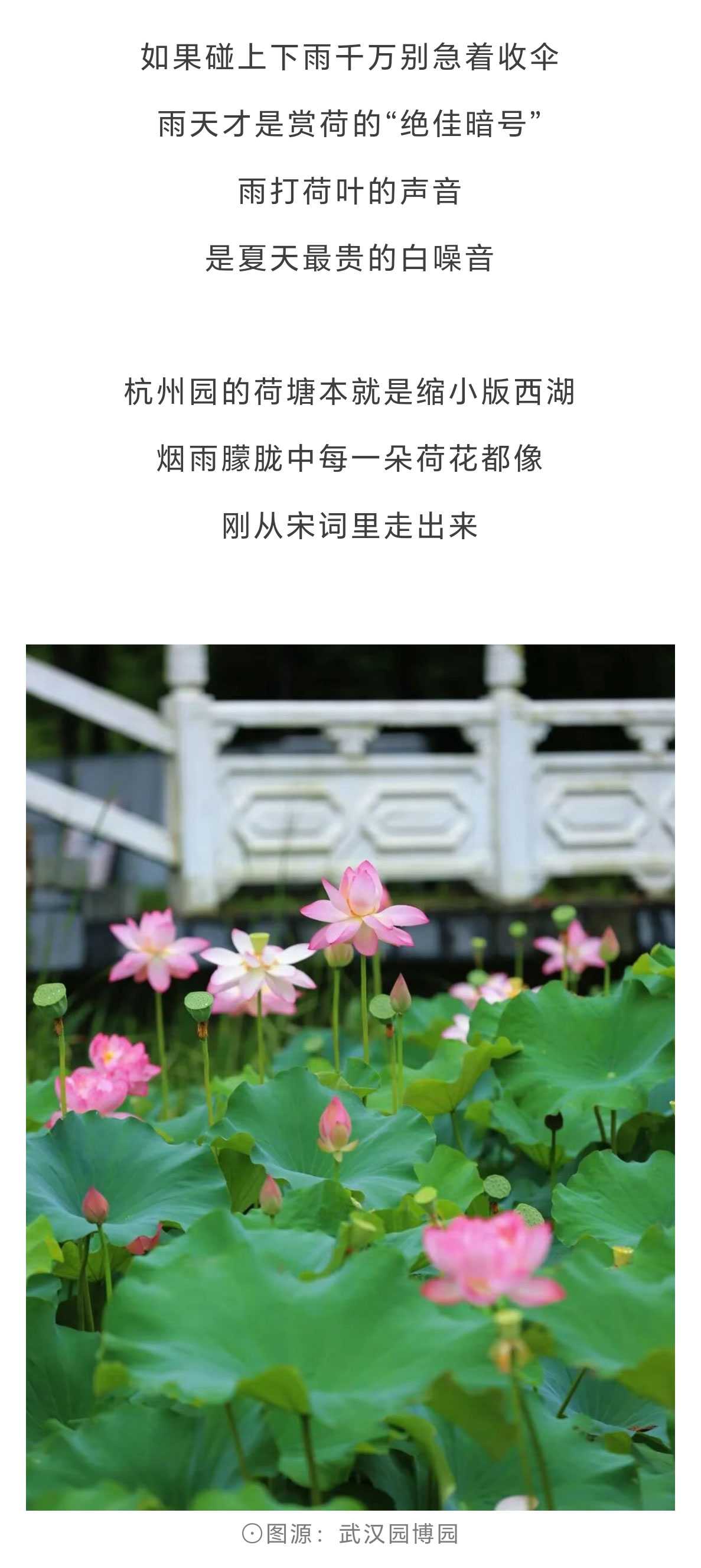 未标题-2_06.jpg