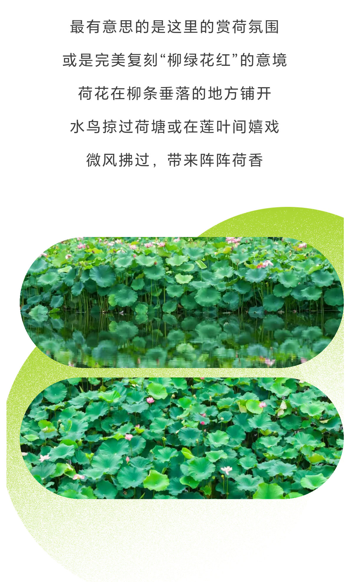 未标题-2_10.jpg