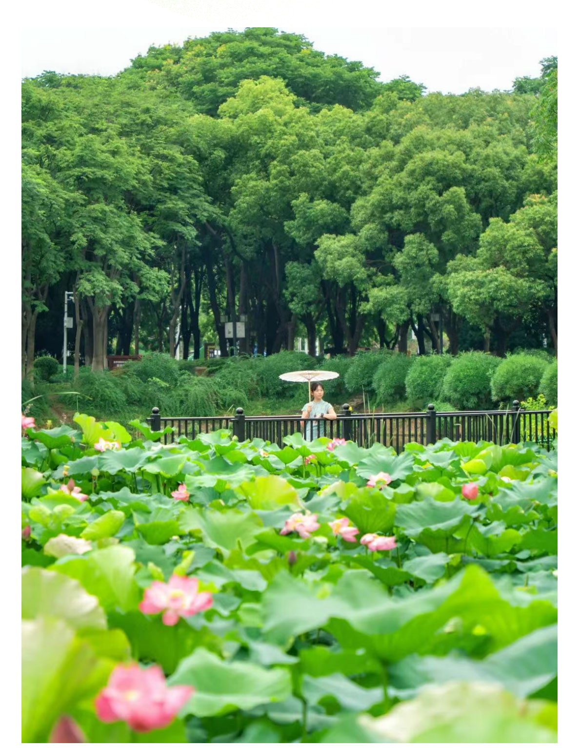 未标题-2_11.jpg
