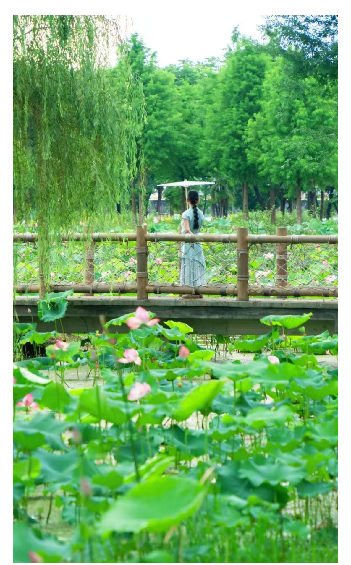 未标题-2_06.jpg