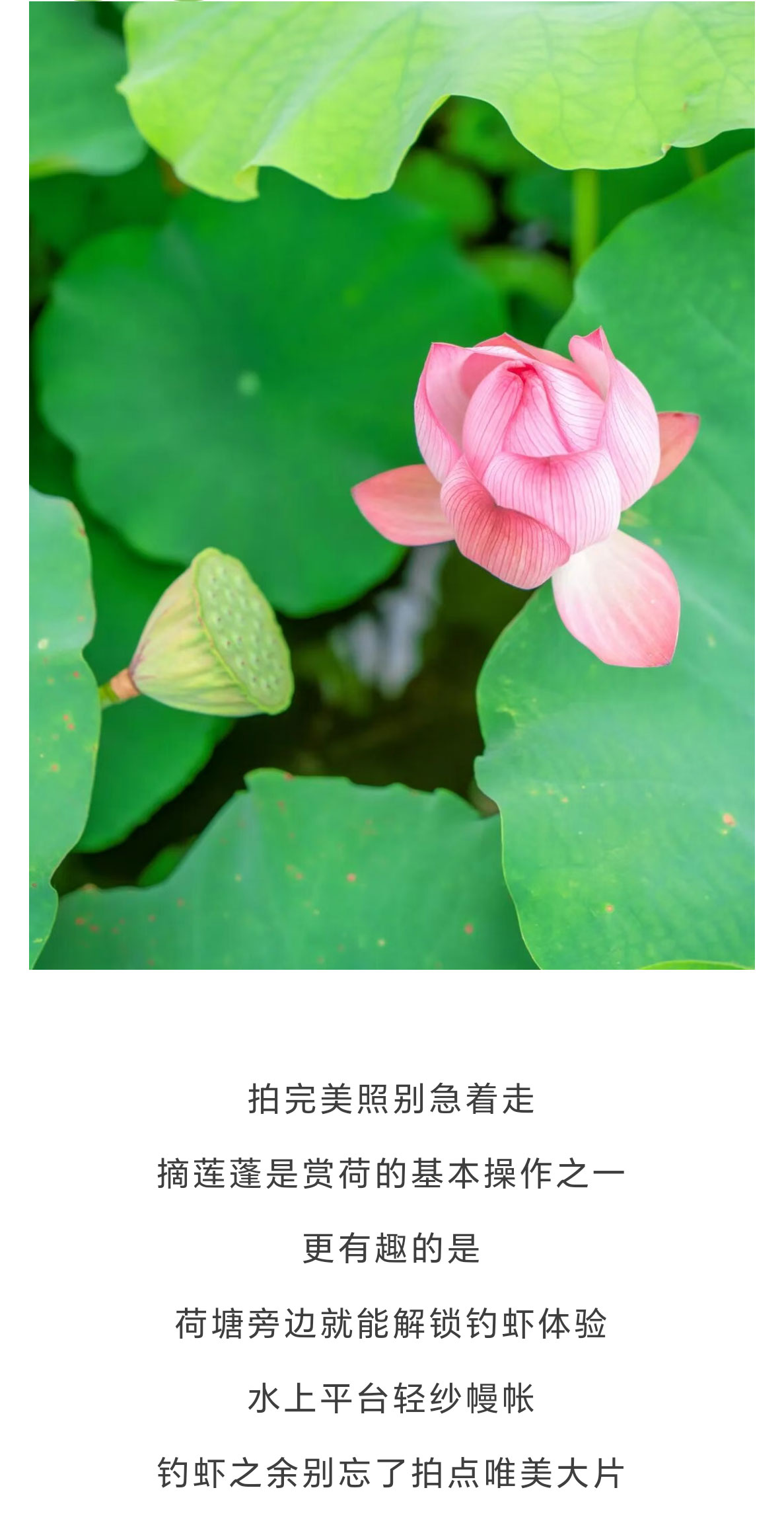 未标题-2_07.jpg