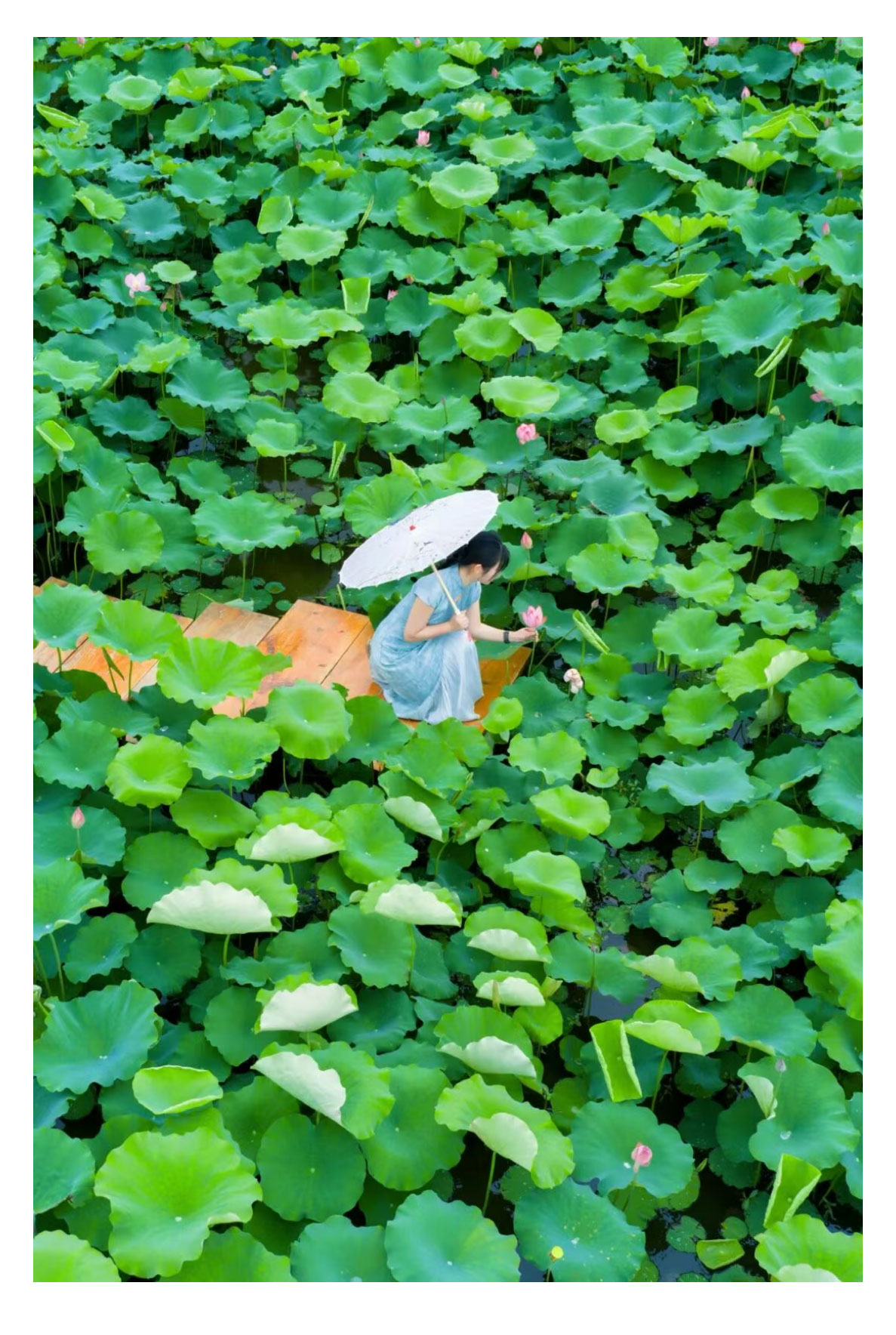 未标题-2_10.jpg
