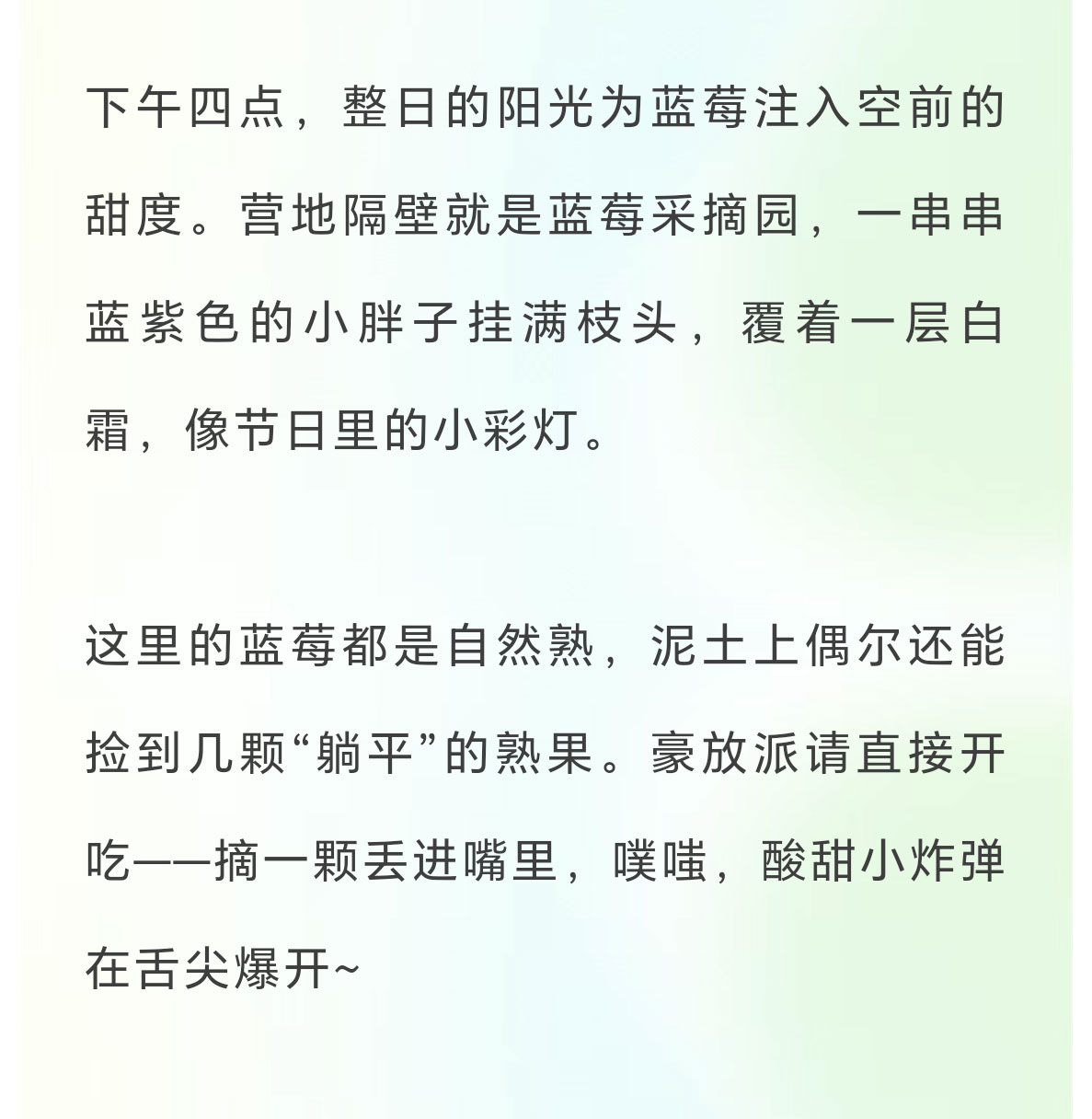 未标题-2_12.jpg