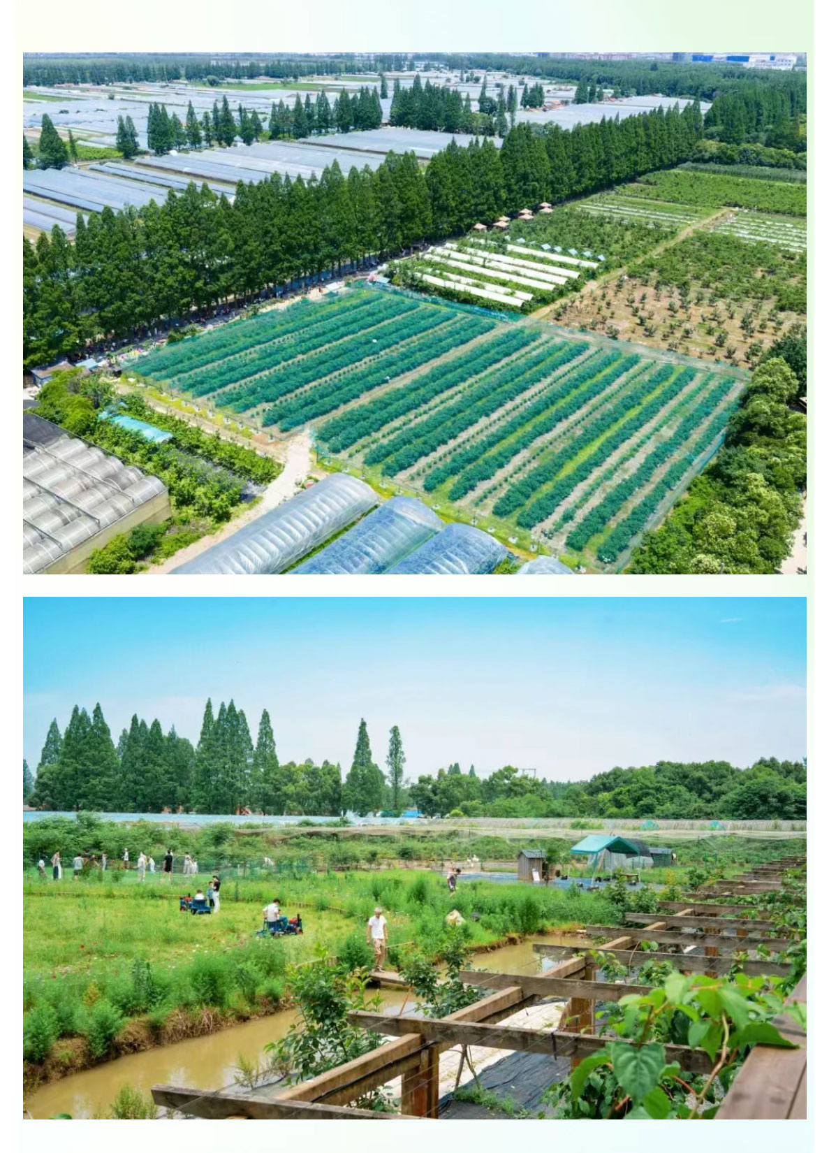 未标题-2_03.jpg