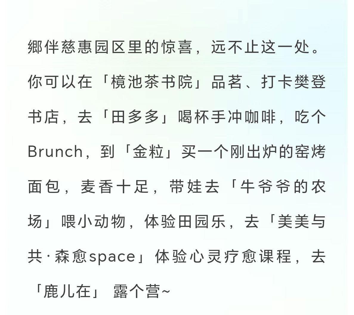 未标题-2_04.jpg